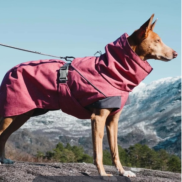 Hurtta Size 32” Expedition Parka Dog Coat in Beetroot - Picture 2 of 16